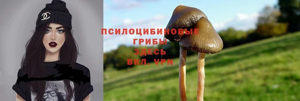 крисы Абдулино