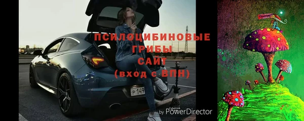 крисы Абдулино