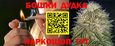 крисы Сланцы