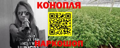 крисы Сланцы