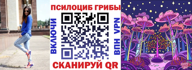 Псилоцибиновые грибы Psilocybe  наркошоп  Торжок 