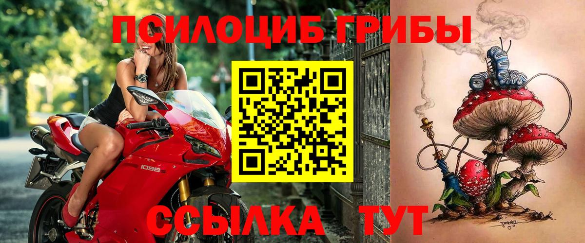 Торжок  Галлюциногенные грибы прущие грибы  Галлюциногенные грибы мицелий  купить наркотик  Вход с VPN 
