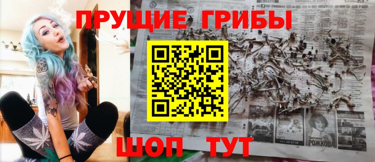 Псилоцибиновые грибы ЛСД Торжок